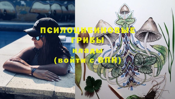 Альфа ПВП Алексеевка