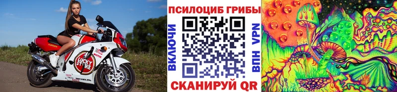 Галлюциногенные грибы мицелий  наркошоп  Котлас 